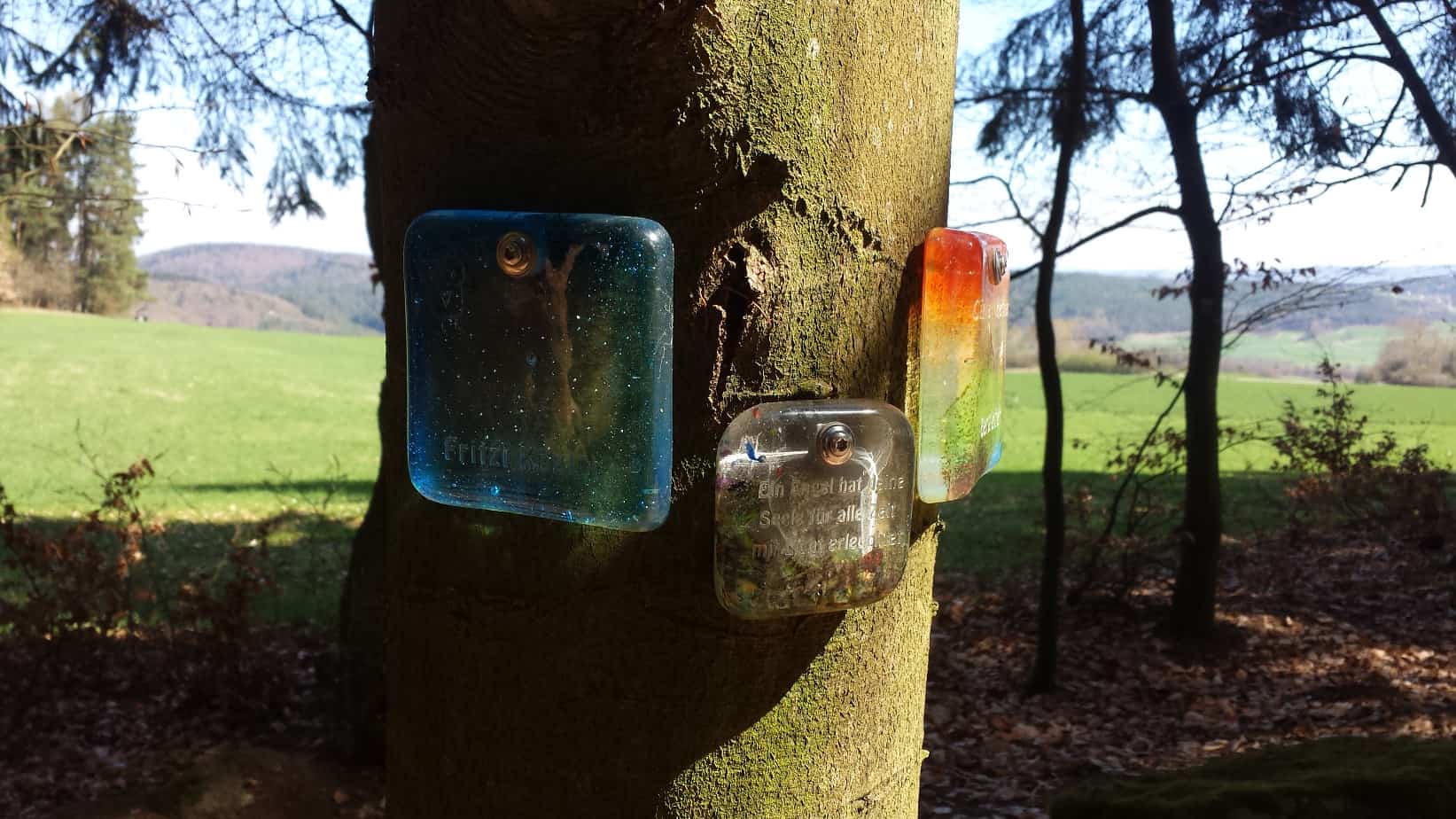 Glastafeln im Naturfriedhof Schlosswald