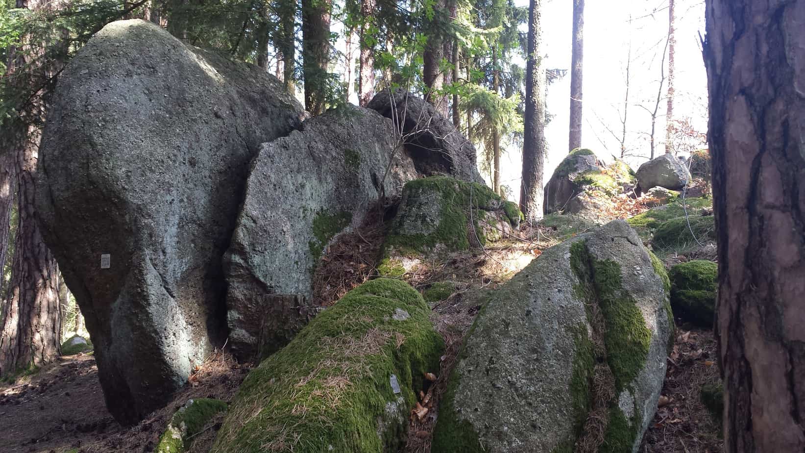 Felsformationen im Naturfriedhof Schlosswald